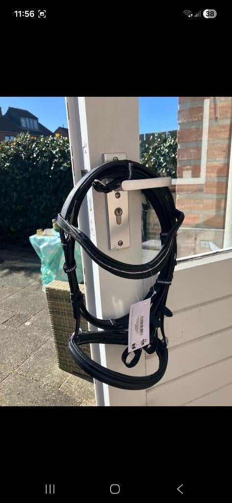 Bitloos hoofdstel Cob, NIEUW, Dieren en Toebehoren, Ophalen of Verzenden, Nieuw, Dressuur