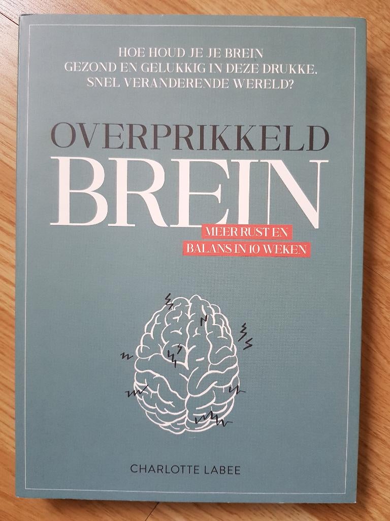 OVERPRIKKELD BREIN / Charlotte Labee / 2022, Boeken, Verzenden, Zo goed als nieuw, Charlotte Labee