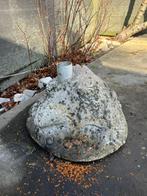 Parasolvoet, Ophalen, Gebruikt