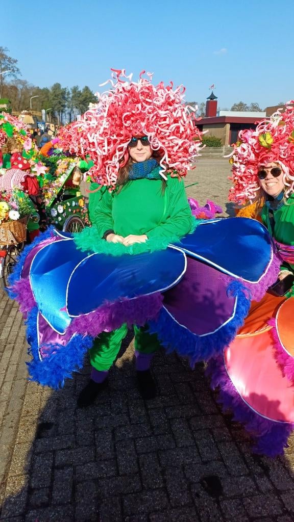 Carnavalspakken Bloemen met Verlichting - 9 stuks, Kleding | Dames, Carnavalskleding en Feestkleding, Ophalen, Zo goed als nieuw