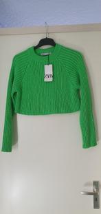Nieuw appelgroene trui van Zara maat M / L, Maat 38/40 (M), Zara, Nieuw, Ophalen of Verzenden