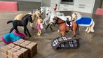 Schleich paarden familie divers met accessoires, Ophalen of Verzenden, Zo goed als nieuw