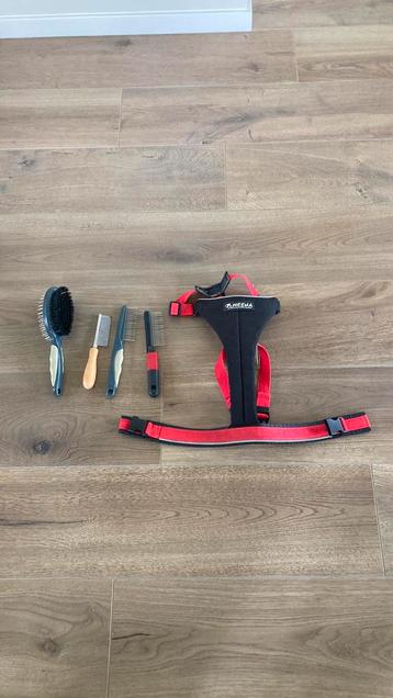 Hondentuig en borstels/ kammen beschikbaar voor biedingen