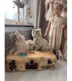 Antieke crèmekleurige koffer van Varkensleer - Tante Jo, Ophalen of Verzenden