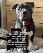 Maluku hondenhalsband, Dieren en Toebehoren, Ophalen of Verzenden, Handgemaakt, Nieuw