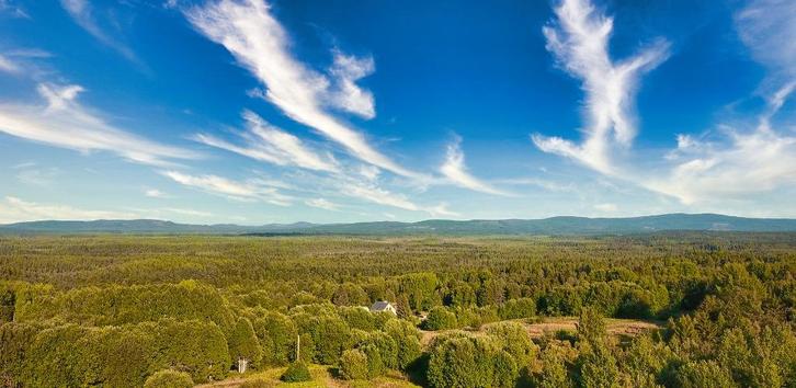 Zweden 35 hectare bos met 2 huizen en strandaanspraak meer, Huizen en Kamers, Buitenland, Overig Europa, Woonhuis