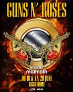 2x tickets RUILEN zaterdag 20 juni, Twee personen