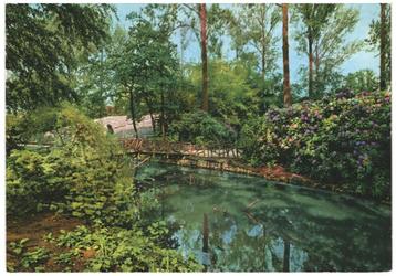 10021 Brunssum Limburg 1977 Vijverpark Gelopen met Postzegel beschikbaar voor biedingen