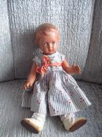 Schildpad popje van 25 cm., Ophalen, Gebruikt, Pop