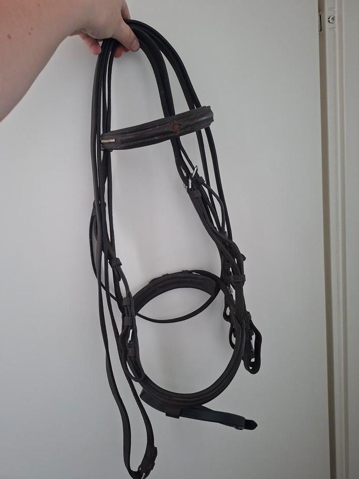 Hoofdstel bruin + Wintec veelzijdigheid + Kent&Masters, Dieren en Toebehoren, Paarden en Pony's | Hoofdstellen en Tuigage, Gebruikt
