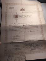 Diploma arts Groningen 1917, Antiek en Kunst, Ophalen of Verzenden