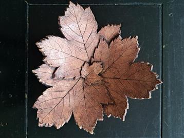 Grote schaal, handgemaakt keramiek, uniek item, nieuw beschikbaar voor biedingen