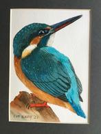 Aquarel ijsvogel geschilderd door Nurilham, Antiek en Kunst, Ophalen of Verzenden