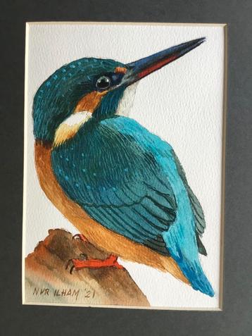 Aquarel ijsvogel geschilderd door Nurilham beschikbaar voor biedingen