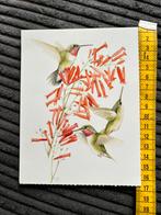 479. Kaart illustr Marjolein Bastin Libelle, Ophalen of Verzenden, Ongelopen