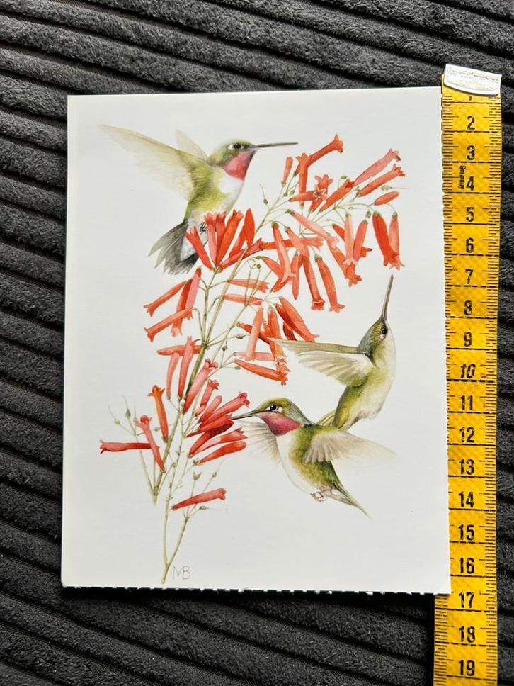 479. Kaart illustr Marjolein Bastin Libelle, Verzamelen, Ansichtkaarten | Themakaarten, Ongelopen, Ophalen of Verzenden