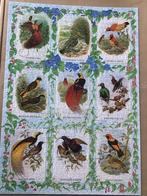 MB Vogelpuzzel - Compleet & Goede Staat, 1000 stukjes, Ophalen of Verzenden, 500 t/m 1500 stukjes, Gebruikt, Legpuzzel