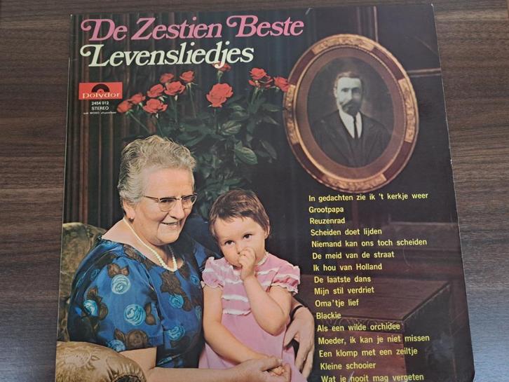De Zestien Beste Levensliedjes, Cd's en Dvd's, Vinyl | Nederlandstalig, Zo goed als nieuw, Levenslied of Smartlap, 12 inch, Ophalen