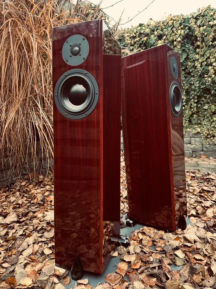 Totem Forest Signature speakers, Audio, Tv en Foto, Luidsprekers, Zo goed als nieuw, Front, Rear of Stereo speakers, 120 watt of meer