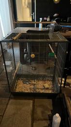 Vogelkooi, Dieren en Toebehoren, Ophalen, Gebruikt, Metaal, Vogelkooi