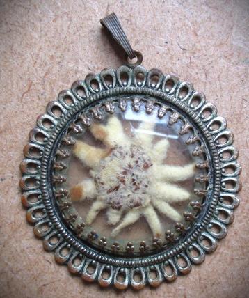Edelweiss~Hanger~Antieke Zilver kleur kettinghanger beschikbaar voor biedingen