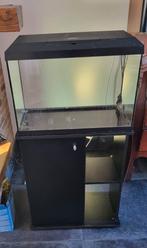 Juwel primo 60 aquarium compleet met kast, Dieren en Toebehoren, Vissen | Aquaria en Toebehoren, Ophalen, Gebruikt, Leeg aquarium