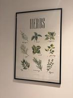 Prent van kruiden - Culinaire illustratie, Ophalen, Nieuw