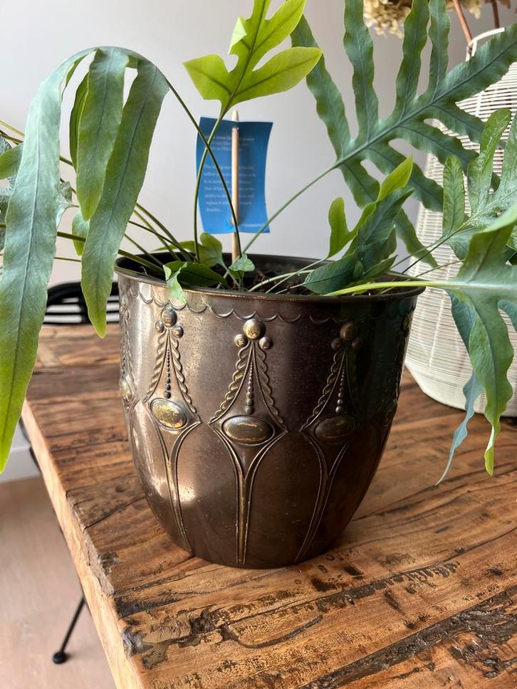 Prachtige antieke bloempot van Daalderop Tiel, Tuin en Terras, Bloempotten, Gebruikt, Overige materialen, Binnen, Minder dan 40 cm