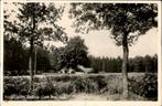 Hollandsche Rading Oost Boederij  st 1955 Kampeercentrum, Verzamelen, Ansichtkaarten | Nederland, Ophalen of Verzenden, 1940 tot 1960