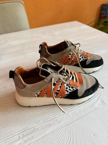 Sneakers, dames, maat 38 beschikbaar voor biedingen