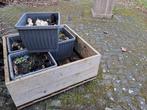 Te koop houten moestuinbak., Ophalen of Verzenden, Rechthoekig, Hout