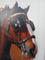Grote Clydesdale foldable Budweiser N.O.S. country&western, Ophalen of Verzenden, Zo goed als nieuw, Insect, Opgezet dier