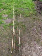 Bamboo stokken, Ophalen, Nieuw, 250 cm of meer, Balken