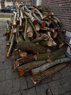 +/- 8 kub hout wilg, els, beuk 70,- per kub, Tuin en Terras, Haardhout, 6 m³ of meer, Ophalen, Overige houtsoorten, Stammen