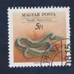 Fauna - Dieren - Slang - Hongarije - 5 ft (I.) - gebr, Postzegels en Munten, Postzegels | Thematische zegels, Ophalen of Verzenden