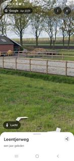 Omheining paardenbak, Weidegang