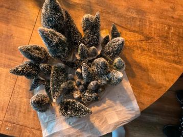 12. Kerstboompjes voor kerstdorp beschikbaar voor biedingen