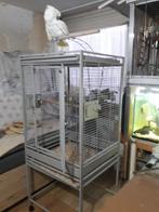 3 x kaketoes vogel kooi, Ophalen, Zo goed als nieuw, Metaal, Vogelkooi