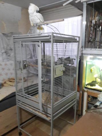 3 x kaketoes vogel kooi beschikbaar voor biedingen