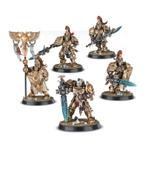 Warhammer 40k Adeptus Custodes, Guard 5x 1x Trojan 3x Bike, Hobby en Vrije tijd, Wargaming, Figuurtje(s), Ophalen of Verzenden