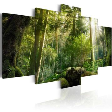 Natuur Bos 5 Luik Schilderij 100x50cm beschikbaar voor biedingen