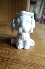 wit miniatuur hondje met toga van porselein, Ophalen of Verzenden, Dier