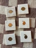 Marmeren Onderzetters met Messing Schelp/Citroen, Ophalen of Verzenden, Zo goed als nieuw, Glas of Kopje