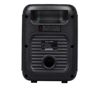 Salora S1 Partyspeaker | beschikbaar voor biedingen
