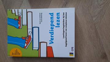 Corine Ballering - Verdiepend lezen beschikbaar voor biedingen