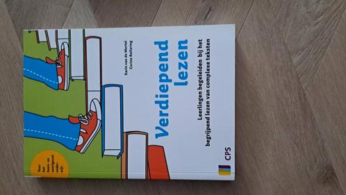 Corine Ballering - Verdiepend lezen, Boeken, Wetenschap, Zo goed als nieuw, Ophalen of Verzenden
