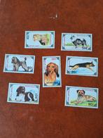 Mongolië: mi. 2320/26. Honden, Postzegels en Munten, Postzegels | Thematische zegels, Ophalen of Verzenden, Dier of Natuur, Postfris