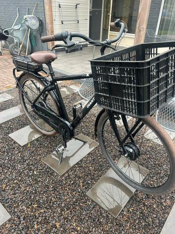 giant triple x beschikbaar voor biedingen