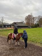 bijrijd/verzorg pony(s) gezocht, twee bijrijder aangeboden, Dieren en Toebehoren, Paarden en Pony's | Verzorgingsproducten, Ophalen of Verzenden