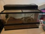 Terrarium 90x45 nieuw, Dieren en Toebehoren, Ophalen, Nieuw
